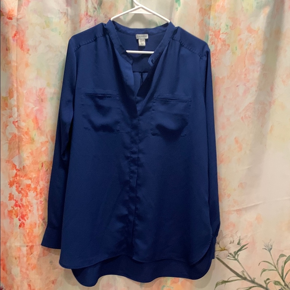 Blue Long Sleeve Relaxed Blouse with Mandarin Collar